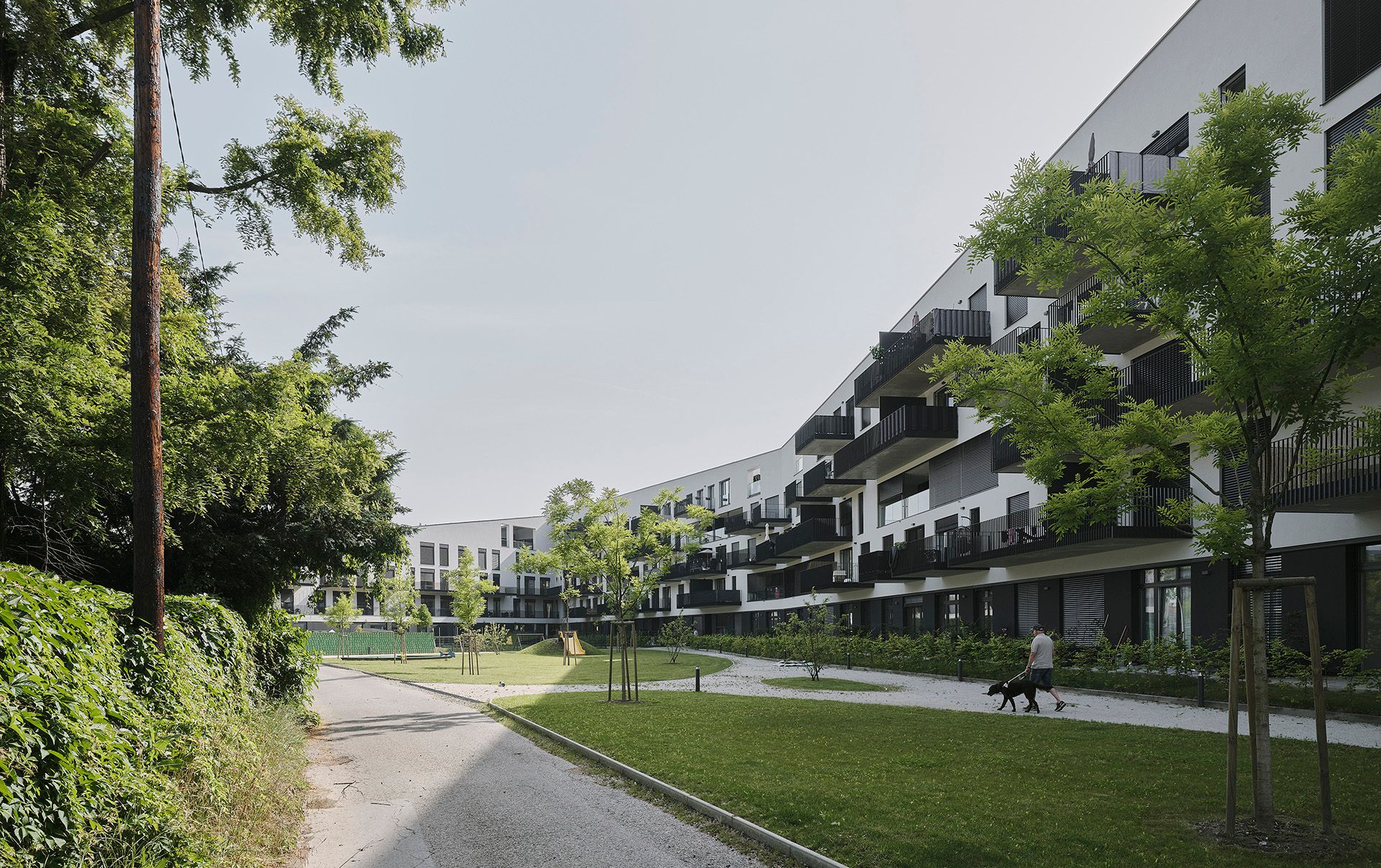 Bigisb Schreyerdavid 05