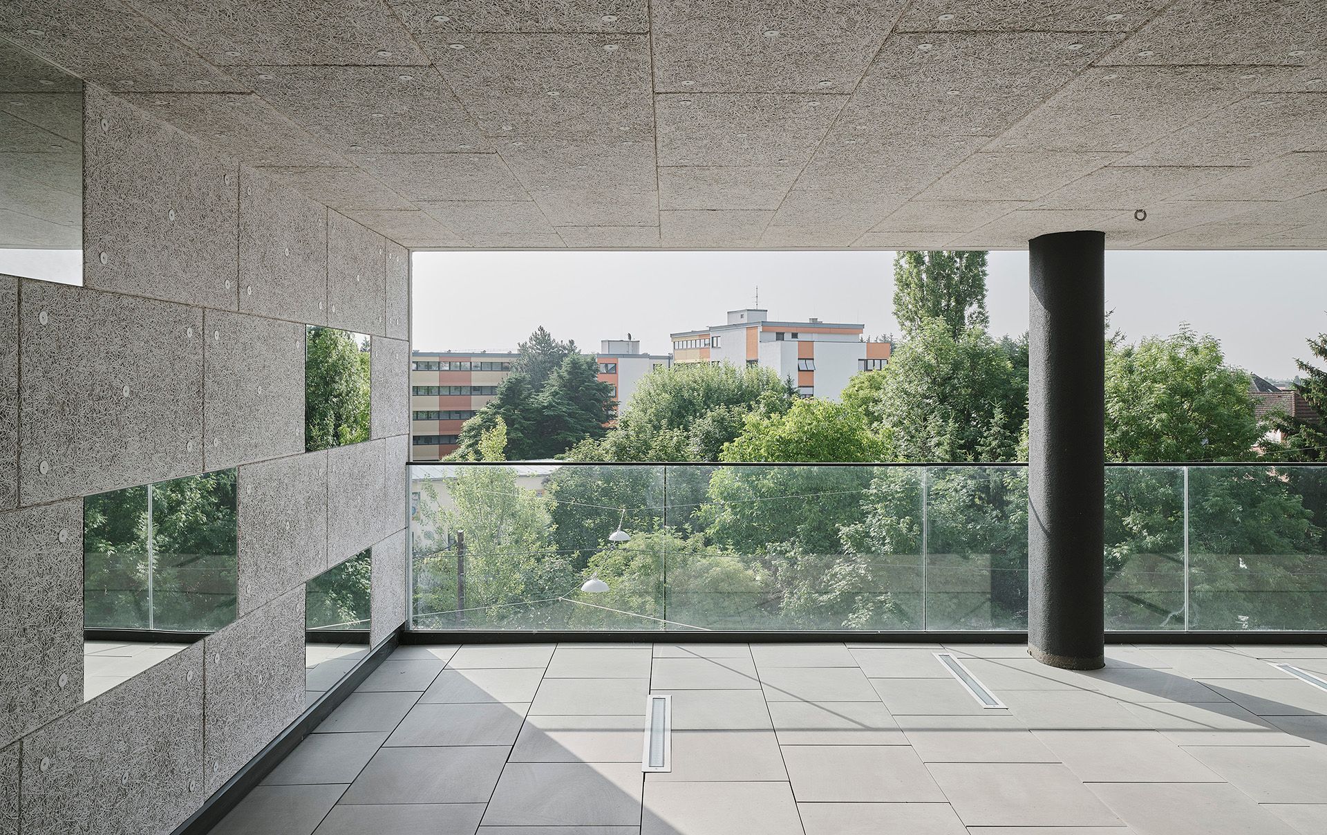 Bigisb Schreyerdavid 15