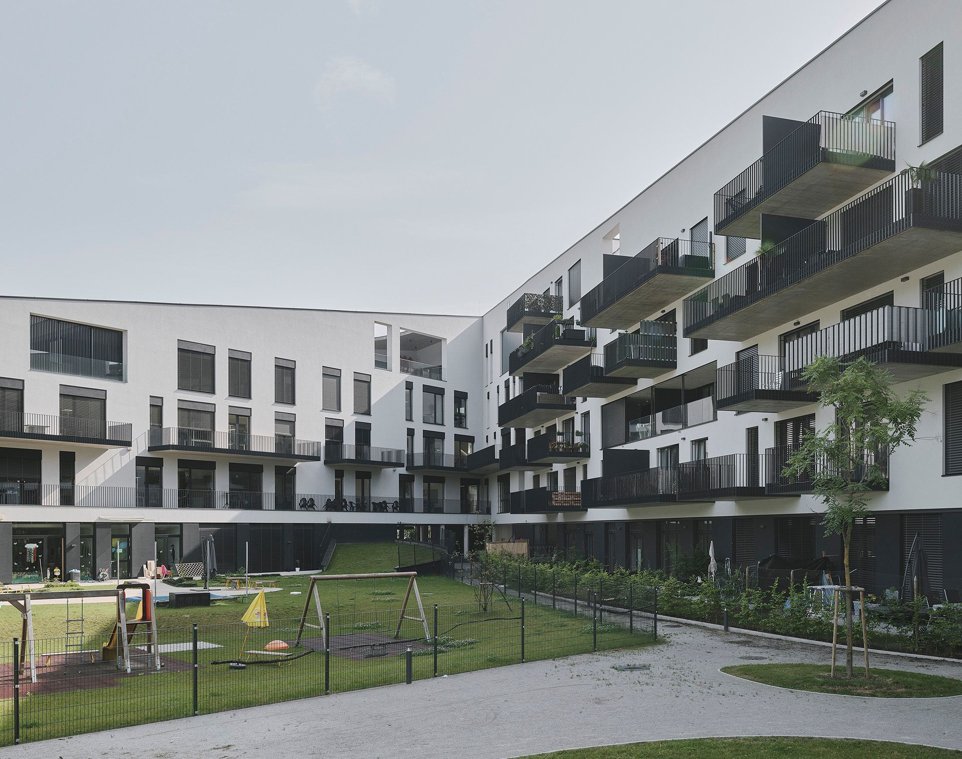 Bigisb Schreyerdavid 04