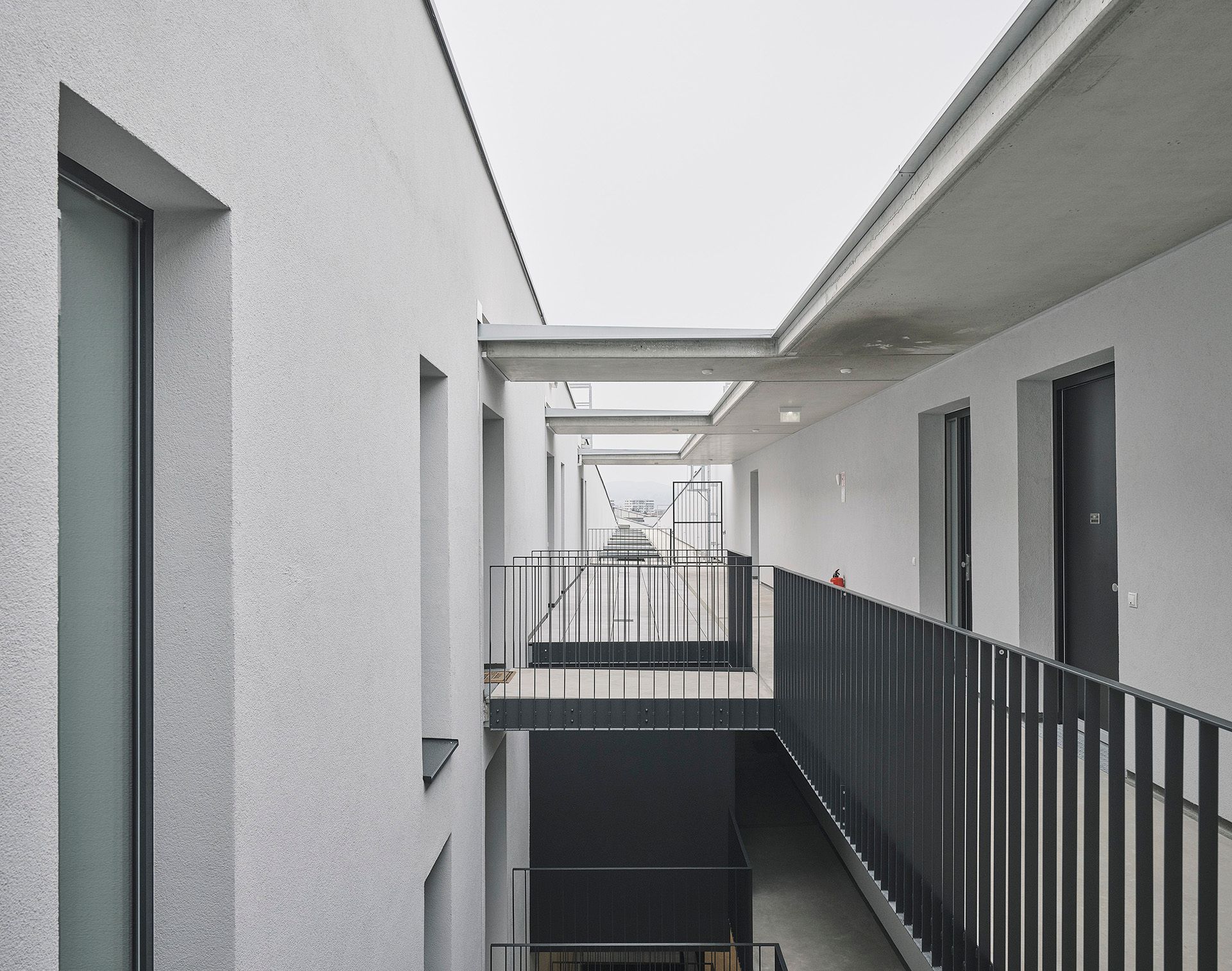 Bigisb Schreyerdavid 11