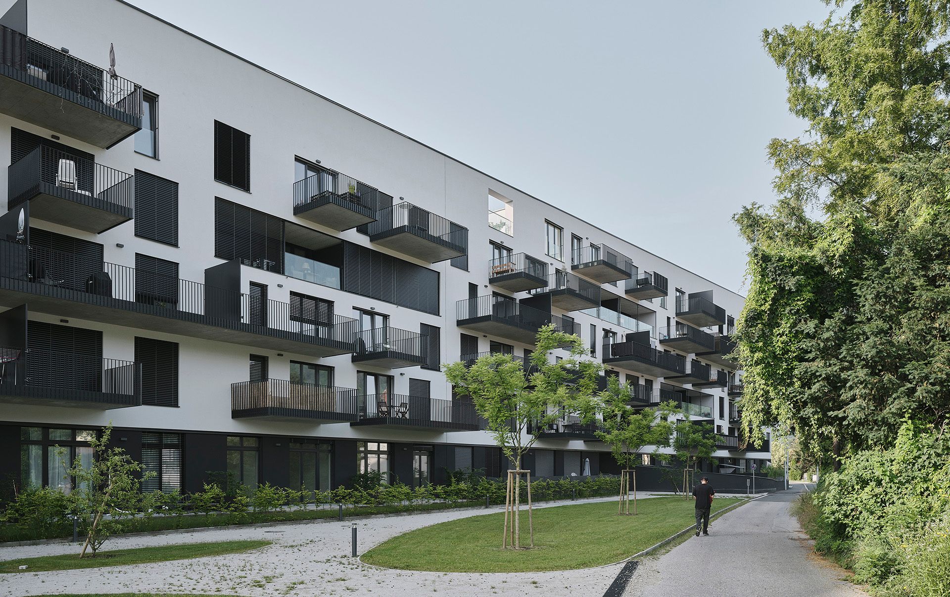 Bigisb Schreyerdavid 06