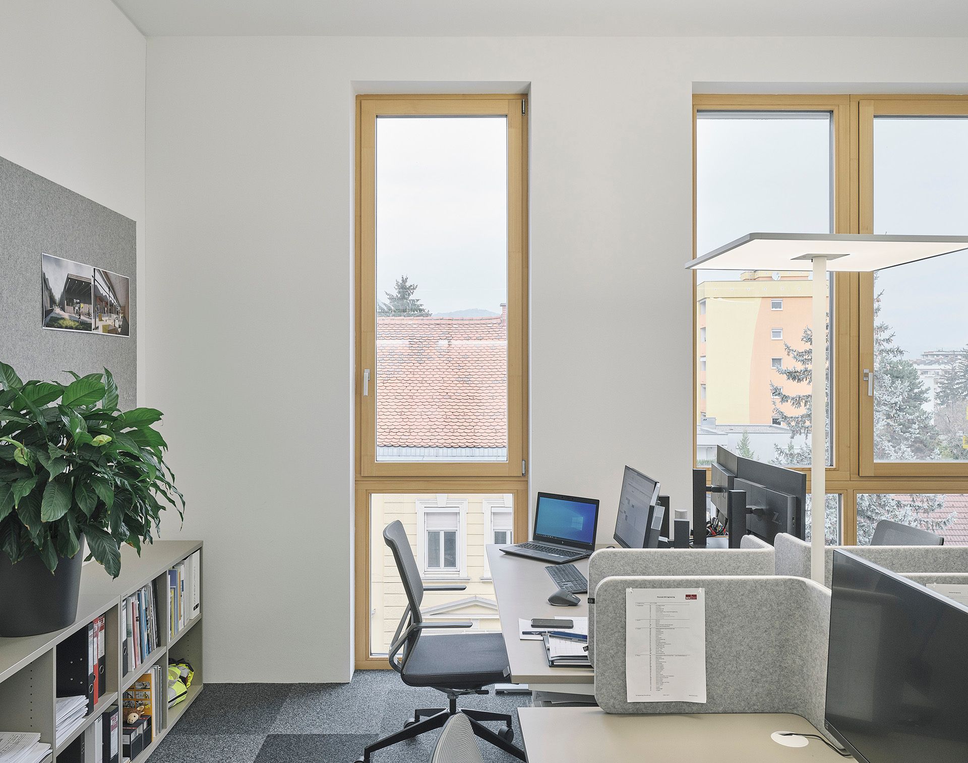 Bigisb Schreyerdavid 23