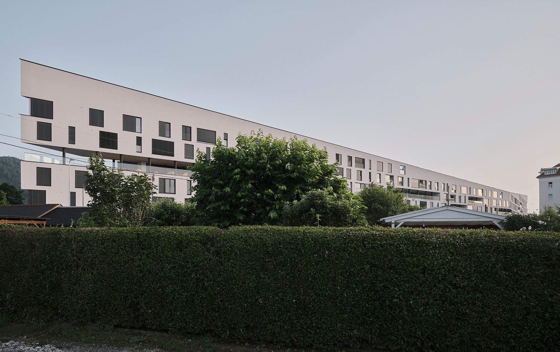 Bigisb Schreyerdavid 24