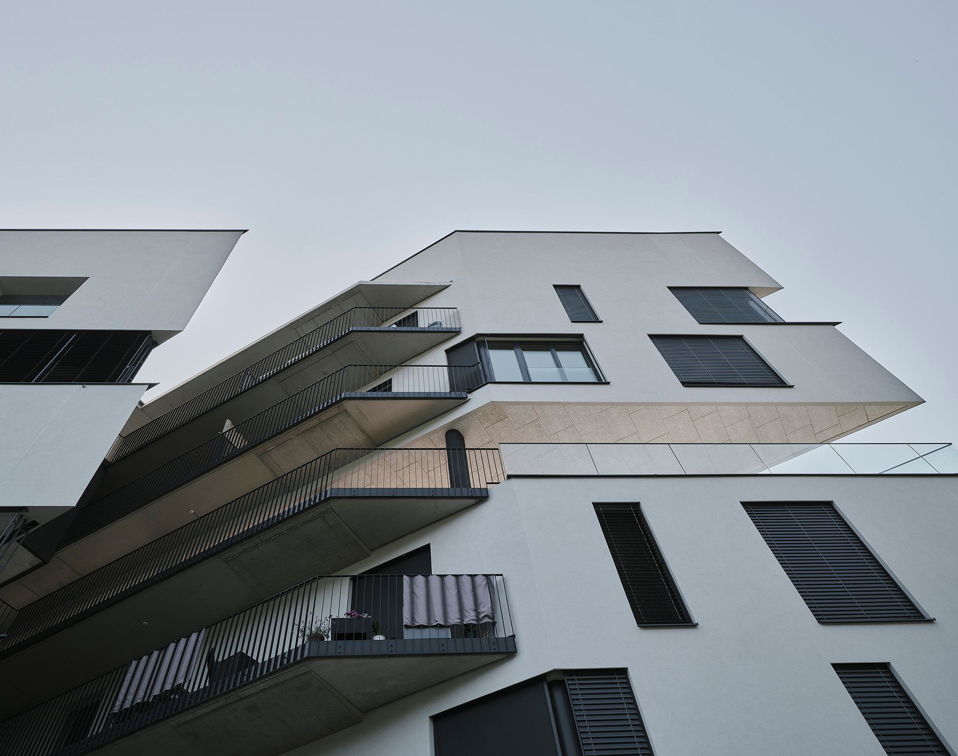 Bigisb Schreyerdavid 08