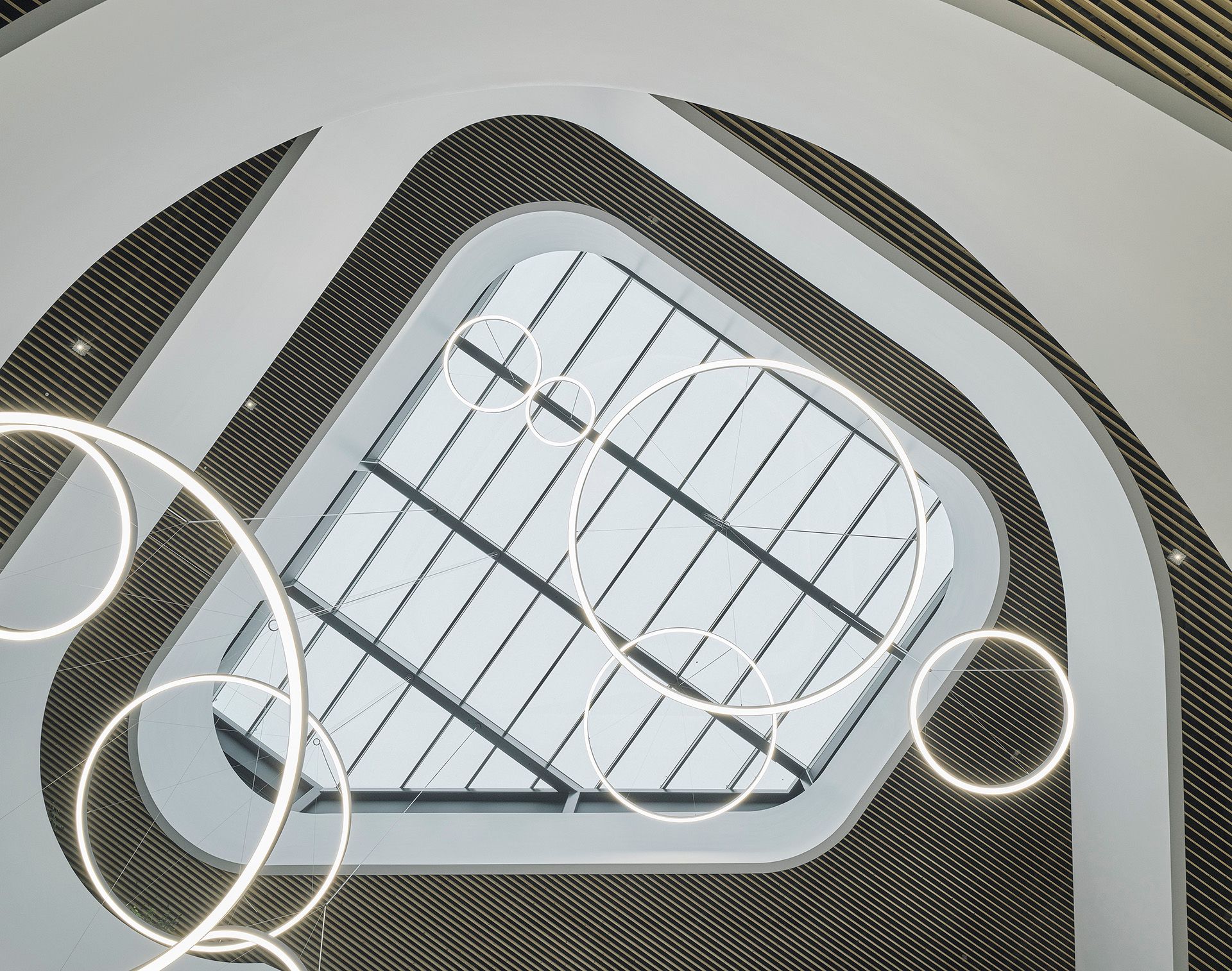 Bigisb Schreyerdavid 20