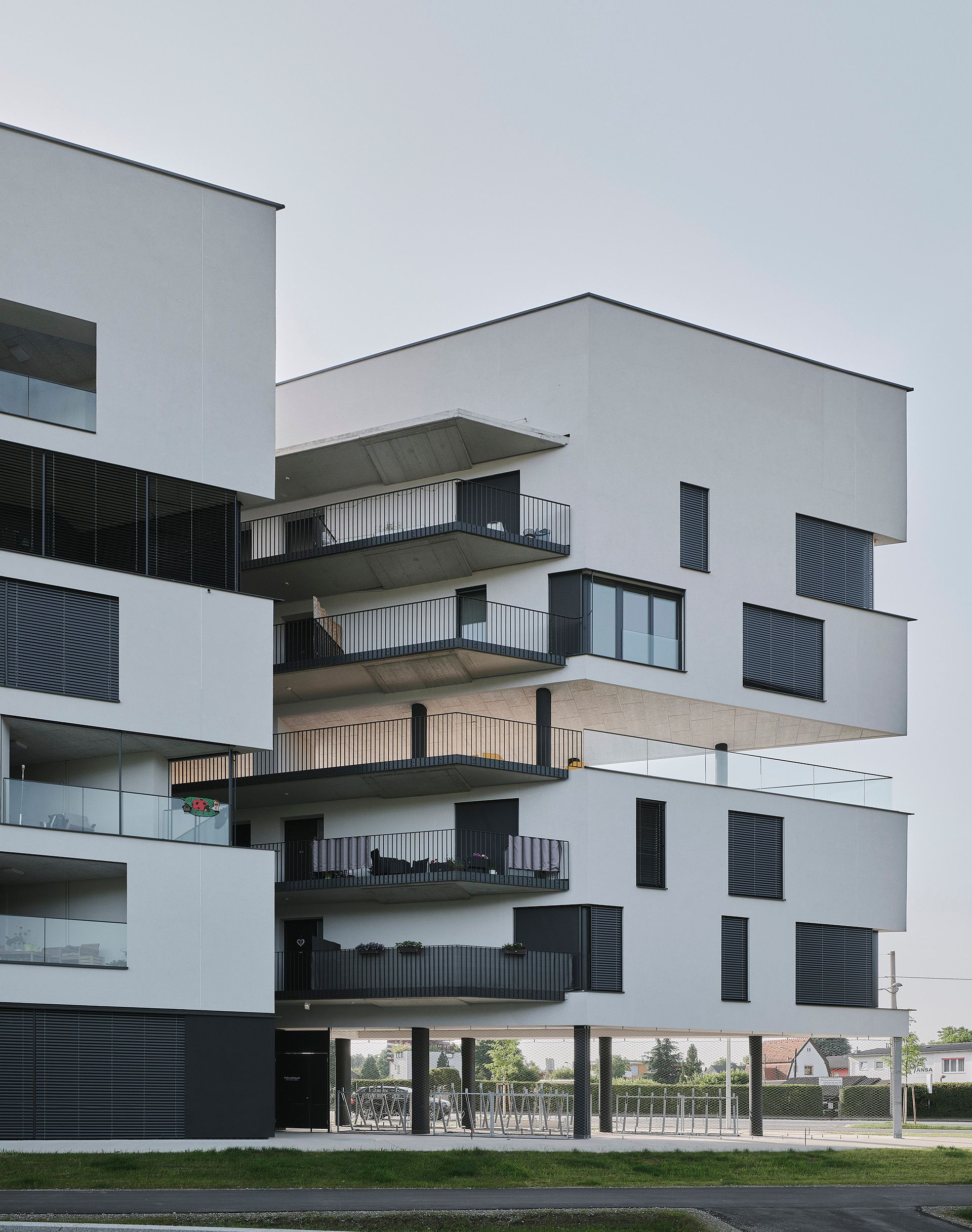 Bigisb Schreyerdavid 07