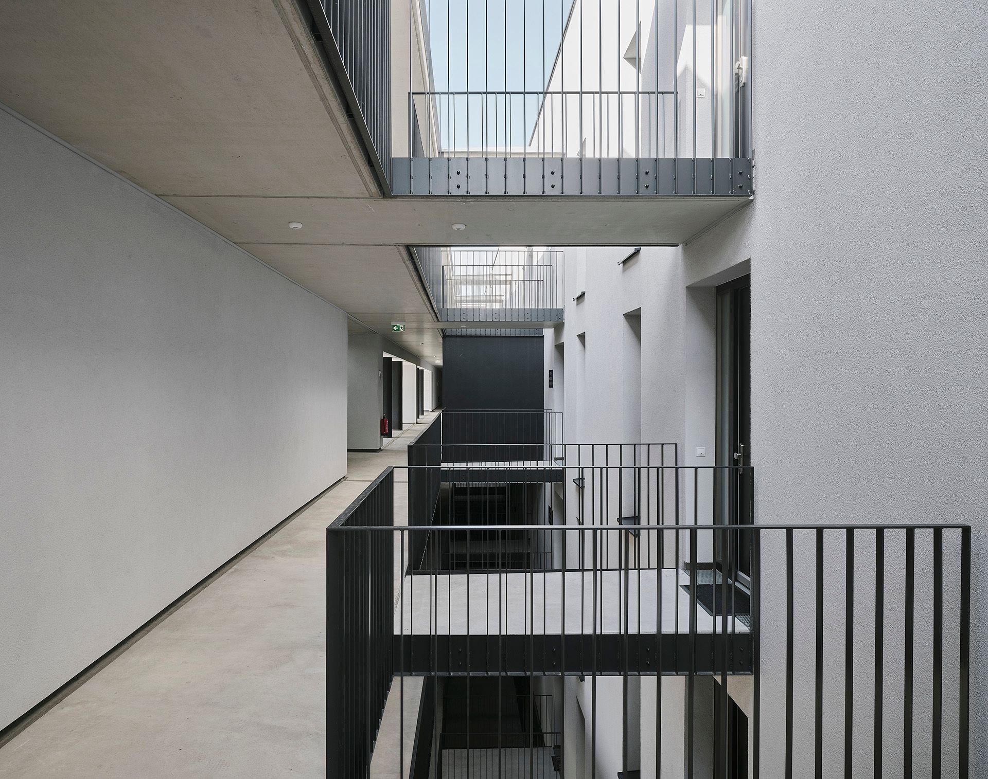 Bigisb Schreyerdavid 12