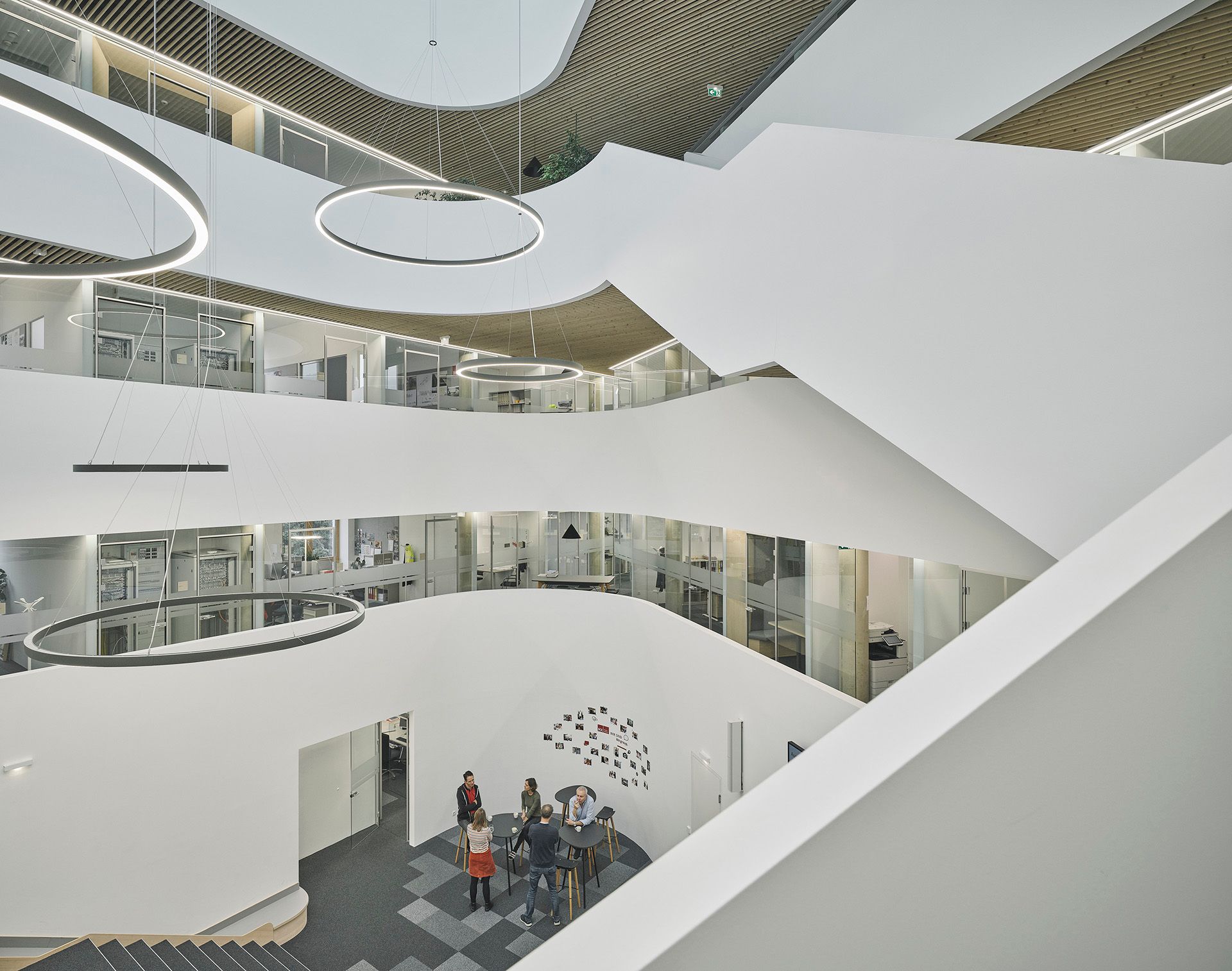 Bigisb Schreyerdavid 19