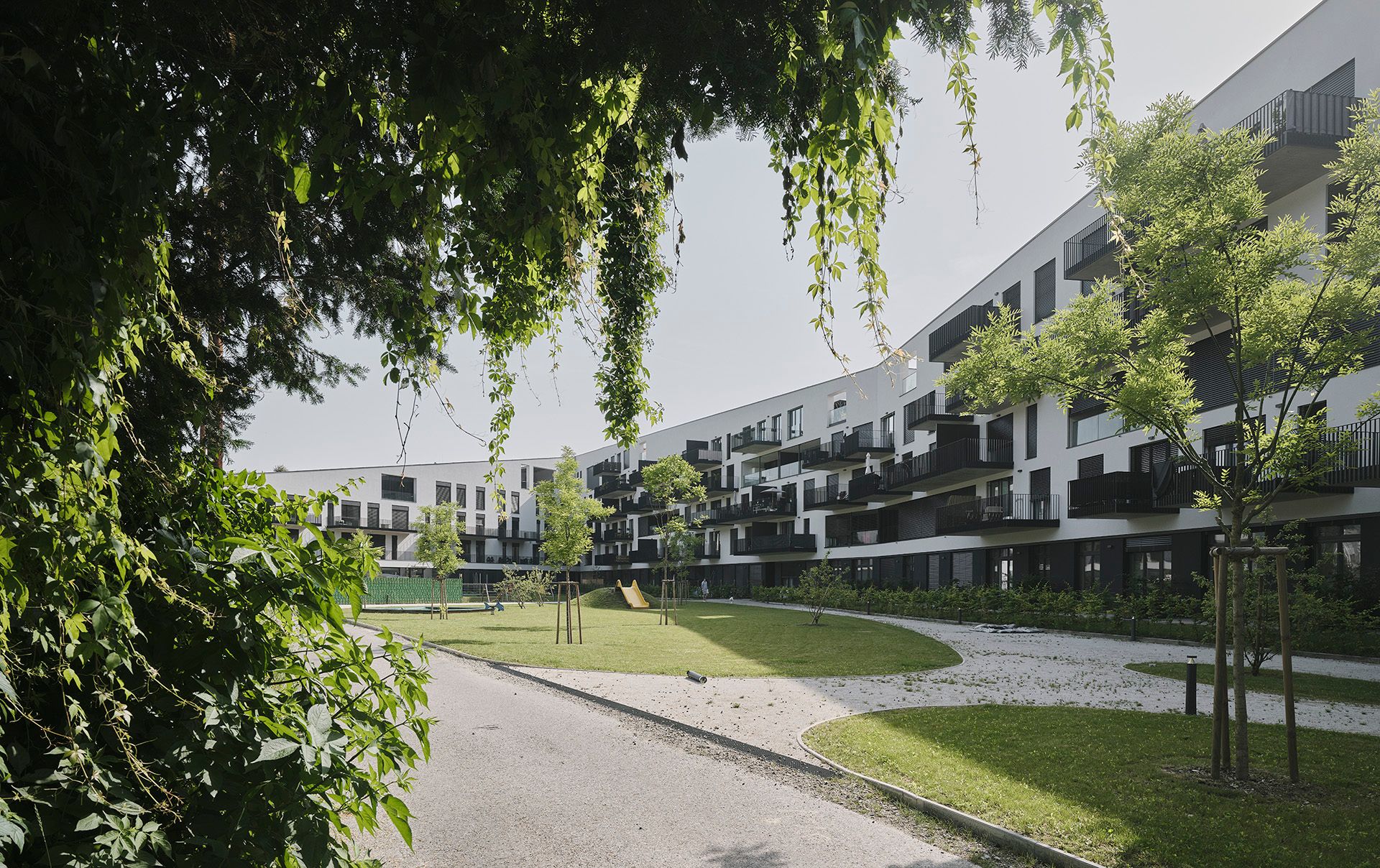 Bigisb Schreyerdavid 05b